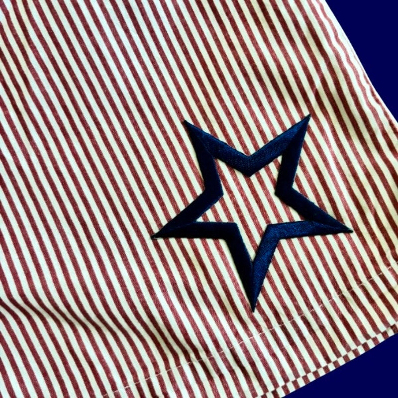 Vintage Navy Star Patch Blue and White Striped Cotton Mini Shorts (L)