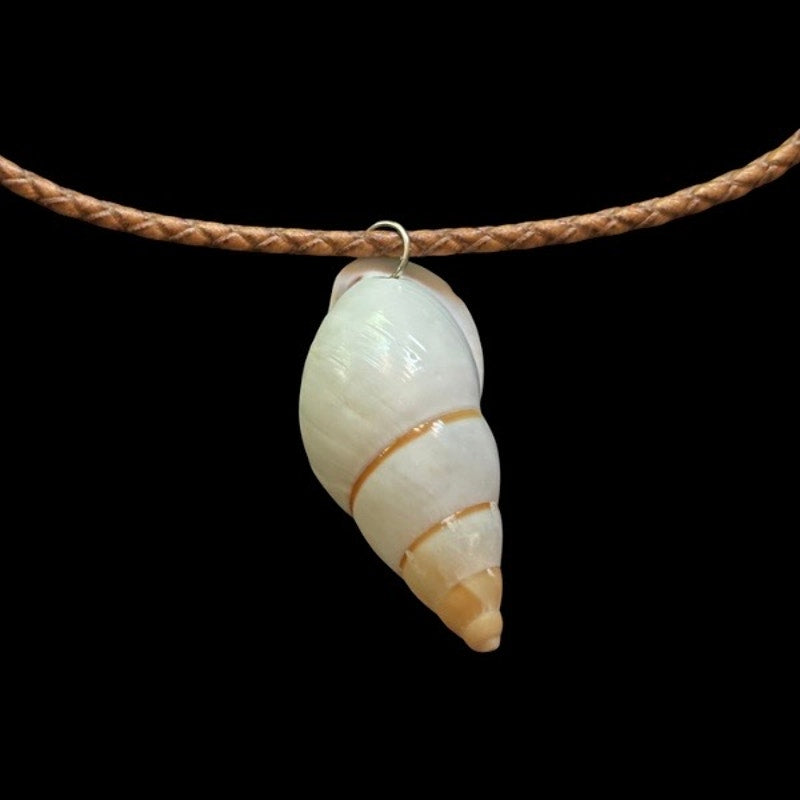 Snail Shell Pendant Leather Cord Choker Necklace