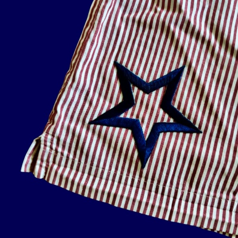 Vintage Navy Star Patch Blue and White Striped Cotton Mini Shorts (L)